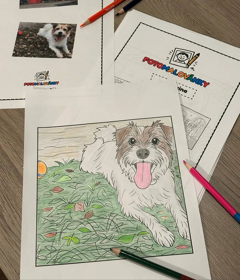 Vybarvená omalovánka psa položená vedle jeho fotografie